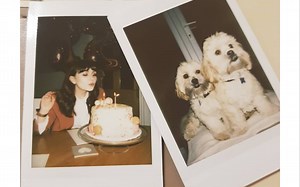 I failed my A-levels... | Sophie Michelle