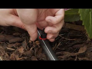 How to Remove an End-of-Line Micro Dripper from Irrigation Pipe and Seal the Hole