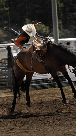 That dismount had ✨ PERSONALITY ✨ Technically speaking... She flew 🪽 Ladies Ranch Bronc is always eventful to watch ! #peersgolddustdaze #ranchbronc #cowgirls #ranchrodeo #ladiesranchbronc | Western Cowboy Chronicles