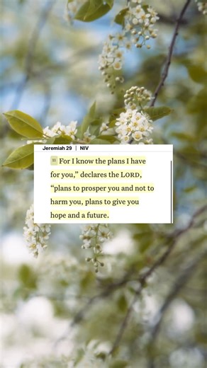 Jeremiah 29:11 | YouVersion