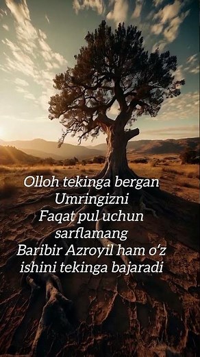 Olloh tekinga bergan umringizni