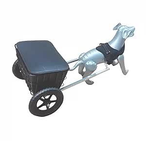 PetCart 2-Wheel Dog Pull Cart - Large/Small, 33-44lb, Traction Strap, Space-Saving