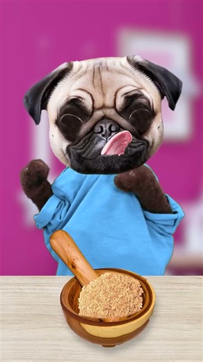 وافل مع الكلب! 🐶😄 كيف يأكل صديقنا الفروي؟ #كلب #تناول_الطعام #حيوانات_أليفة #وافل #مرح