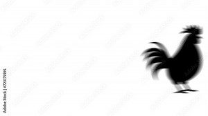 Animation set, rooster symbol. Animations: transparency, zooms, transition top to down, transition left to right, slide up to down, slide left to right