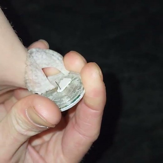 remove freestyle libre 2 2022 Renew.