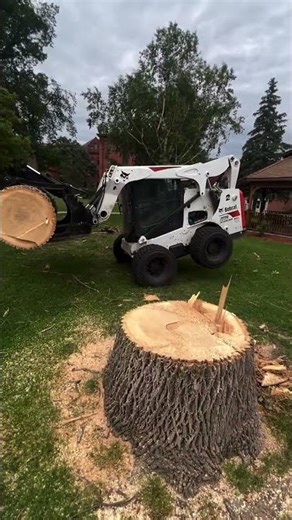 Machine Lifts Tree Trunk