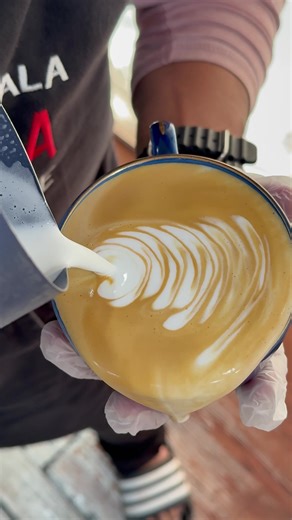 Essential Barista Training for Beginners