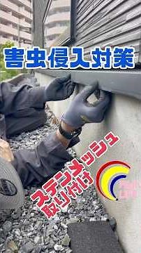 基礎パッキンからの防虫対策・ステンレスメッシュ取付け#床下防虫対策 #ダンゴムシ #ムカデ #クモ #ヤスデ #シロアリ