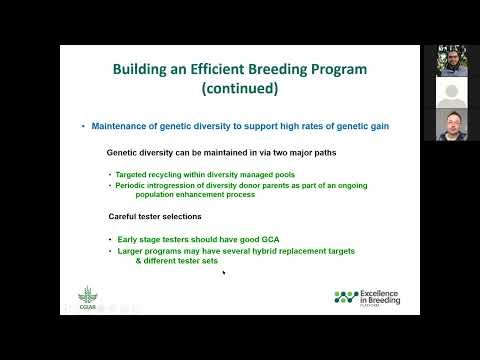 Breeding Program Management in a Hybrid Crop