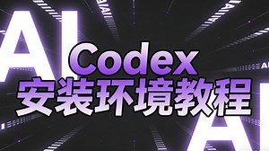 Codex安装环境教程