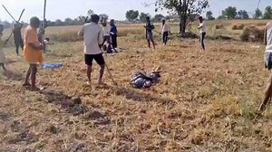 Kaimur News: कोर्ट के स्टे के बाद भी जमीन में बोया गेहूं, दो पक्षों में हुआ खूनी संघर्ष, हमले में 9 लोग घायल