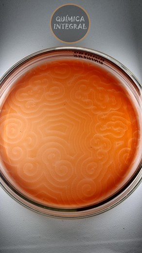 680K views · 53K reactions | Essa é uma das reações oscilantes mais difíceis para gravar. Já fiz ela há muito tempo, mas não conseguia gravar pois os padrões não saiam na câmera. O nome dessa reação é o Oscilador de Belousov-Zhabothinsky e já expliquei as cores vistas neste vídeo: https://fb.watch/dJtWgGHAFE/ Os presentes estão ativos. Se acha que mereço, apoie! | Química Integral | Facebook