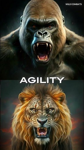 Gorilla vs Lion: Ultimate Showdown of Power and Strength | Epic Animal Battle