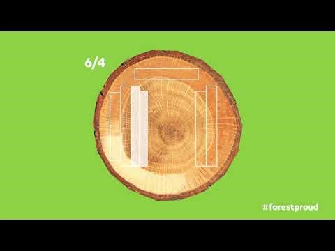 Forest Proud - Hardwood Saw Log Breakdown Explainer Video