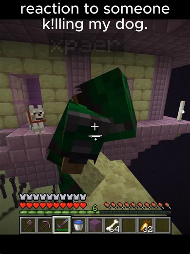 Did I Overreact in Minecraft?