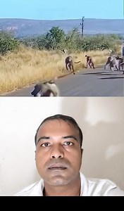 The unity #foryou #reels #viral #videos #shorts #fbreels #unity #animals #fypシ #fypシ゚viralシfypシ゚viralシalシ #ｆｙｐシ゚ｖｉｒａｌシｆｙｐシ゚ｖｉｒａｌシａｌシ #fypシ゚viralシfypシ゚viralシalシfypシ゚viralシfypシ゚viralシalシ | freedom funny video maker