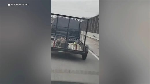 Prosecutors reach deal in animal cruelty case over video of dog in trailer during frigid weather