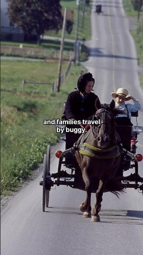 The Amish: Living in the Past, Thriving in the Present. #history