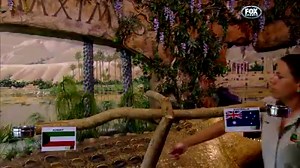 29K views · 711 reactions | Move over Paul the Octopus. It's time for Bluey... and his prediction for tonight's game against Kuwait is...... | Fox Sports Football | Facebook