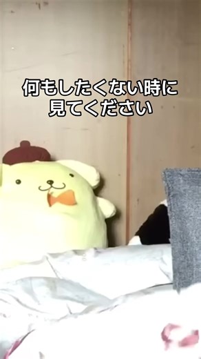 なんでこんなに面白いの？WWWWWWWWWWWWWWWWWWWWWWWWWWWWWWWWWWWWWWWWWWWWWWWWWWWWWW#ひよごん #面白い #爆笑 #おすすめ #fyp