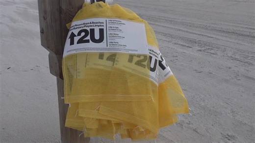 Local beach cleanup program expanding statewide