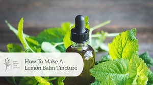 11K views · 343 reactions | Lemon balm tincture is easy to make with fresh lemon balm from your herb garden! It is one of the most calming herbs there is, and is good for relieving anxiety, stress, and insomnia.  Get the full recipe and learn more about how to use lemon balm tincture here ---> https://www.growforagecookferment.com/lemon-balm-tincture/ | Grow Forage Cook Ferment | Facebook