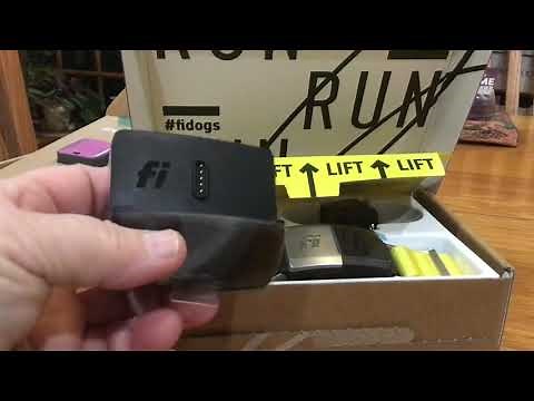 GPS for Dogs comparison: Whistle, Fi, and Tractive