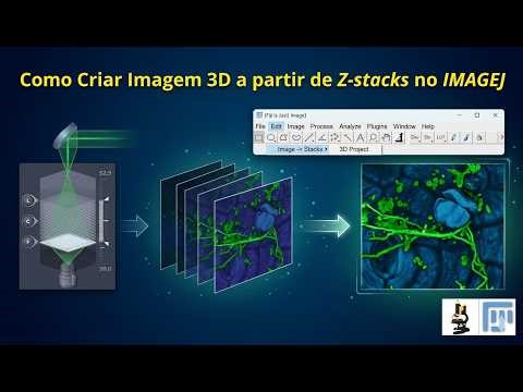 HOW TO CREATE A 3D IMAGE FROM A Z-STACK IN IMAGEJ (3D-Project Method)