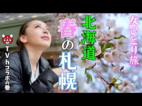 アラサー女子の北海道ひとり旅、春の札幌お花見ツアー！