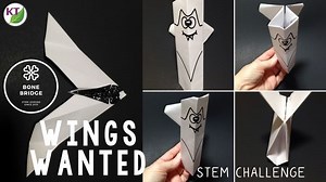 Halloween Bat STEM Challenge Video: Wings Wanted