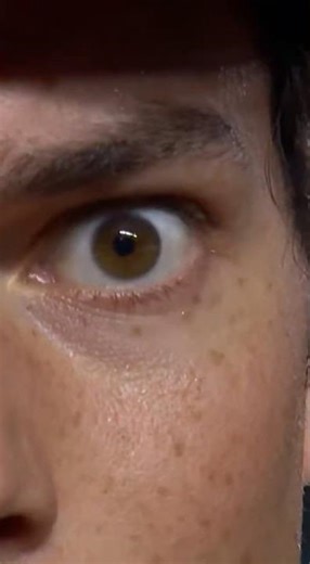 Fan Falls Into Path… Ball Lands in Glove