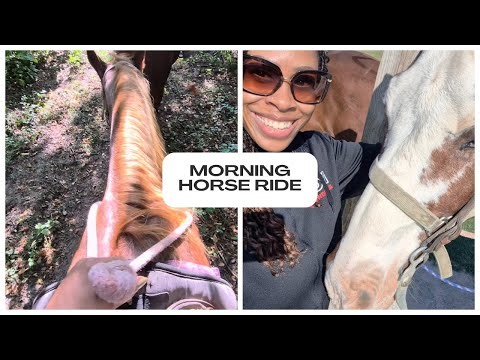 Morning Horse Ride