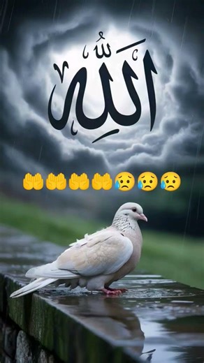 Banda hu Tera sabse gunehgar ya khuda😥😥😥🤲🤲🤲#shorts #sbtech