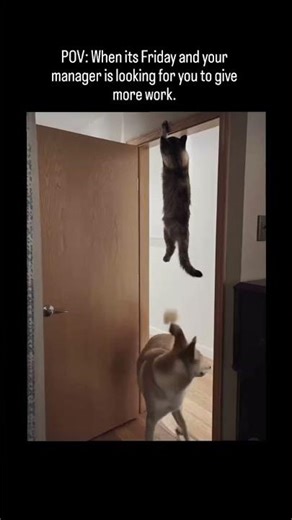 Why 90% of Forex Traders Lose Money (Documentary)