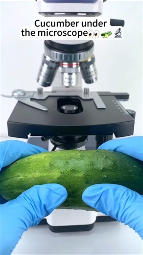 Today I will see cucumber under a microscope 😳🔬 #shorts #facts #microscope #cucumber #surprise