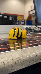 21K views · 184 reactions |  St Mary’s College Open Day 2025  Please enjoy these highlights from our wonderful Open Day! | St Mary's College | Facebook