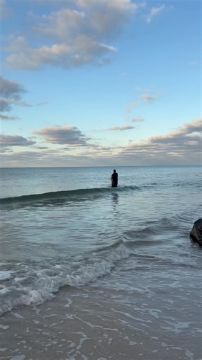 If you need a trout net, let us know 😂 She was released safely! | Cast Net King