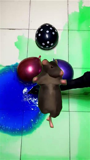 funny ballon pop asmr #asmr #funny #poppballons