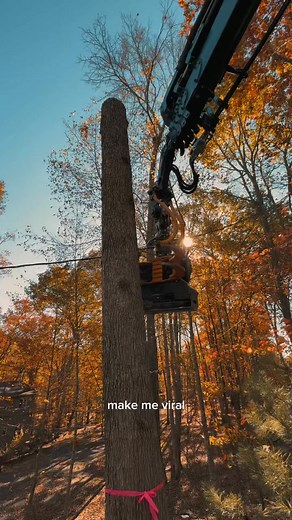 ‼️FREE QUOTE‼️ (570) - 244 - 3000 Pennsylvania #TreeRemoval #BlakesleePA #EaststroudsburgPA #TreeService #Arborist | Harmony Tree Care