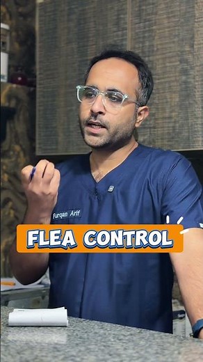 Treatment of skin infection in pets | itching | Aliyan Vets