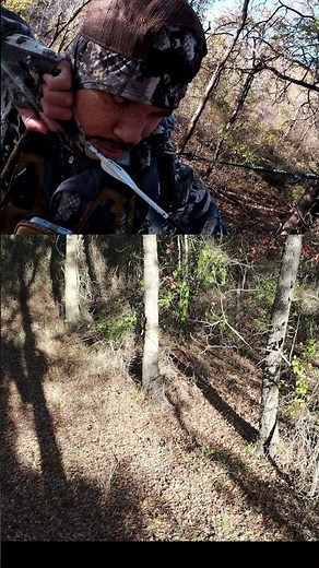 My First Public Land Deer With a Bow **SELF FILMED**