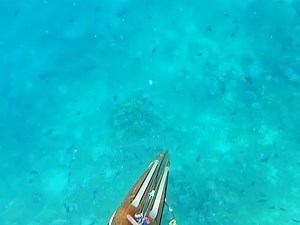 45K views · 444 reactions | barracuda spearfishing | Fishing Videos | Facebook