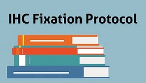 IHC Fixation Protocol