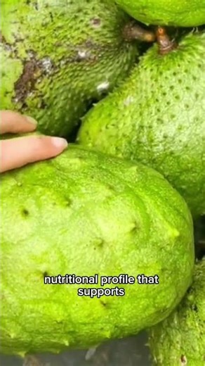 Soursop health benefits