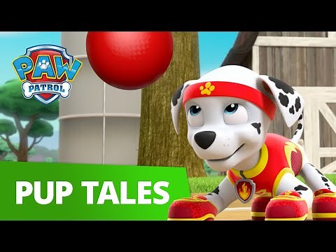 PAW Patrol - All Star Pups! - Rescue Episode - PAW Patrol Official & Friends!