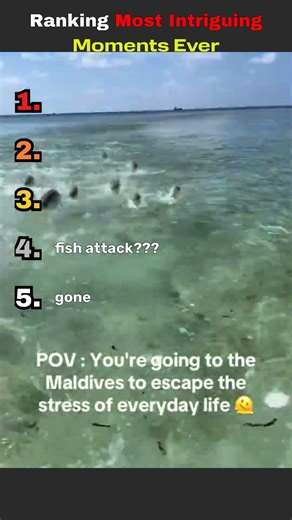 I Can't Believe These Are Real #funny #hilariousfails