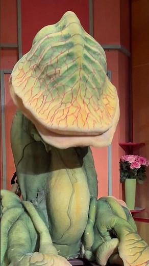 Sami Adjali | Marionnette | PBDH