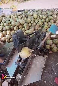 4.6M views · 12 reactions | It's really unique technology and skills | 12-12 | Facebook