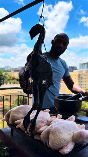 mysterious chicken native to Indonesia #farming #cemanichicken #originalindonesia #interesting #v...