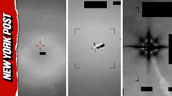 4 alien species have been pulled from crashed UFOs, ex-government researcher claims
